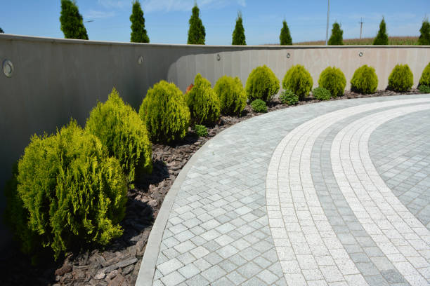 Best Driveway Pavers Near Me  in Centreville, MS